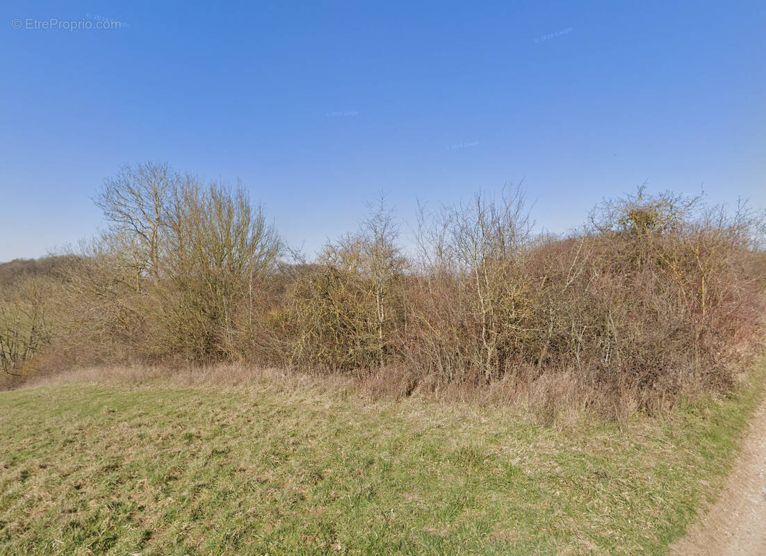 Terrain à SAINTE-GENEVIEVE