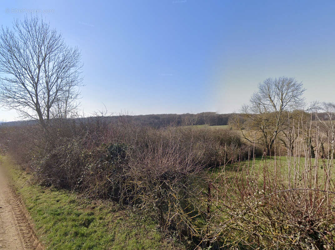 Terrain à SAINTE-GENEVIEVE