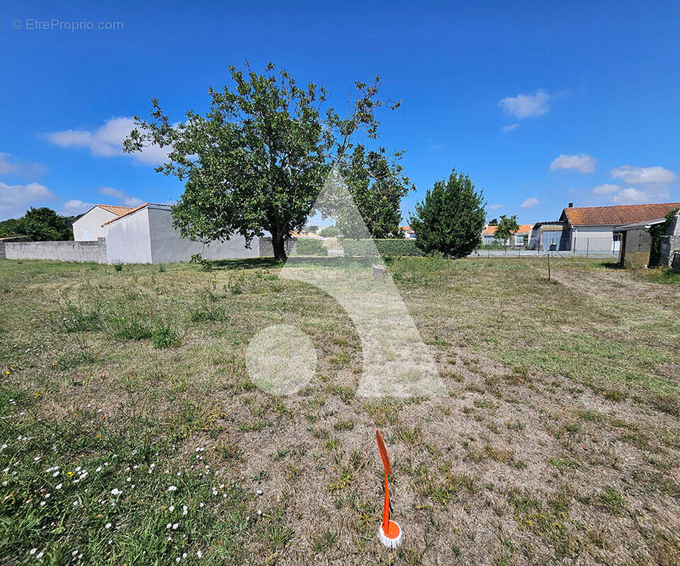 Terrain à LES MATHES