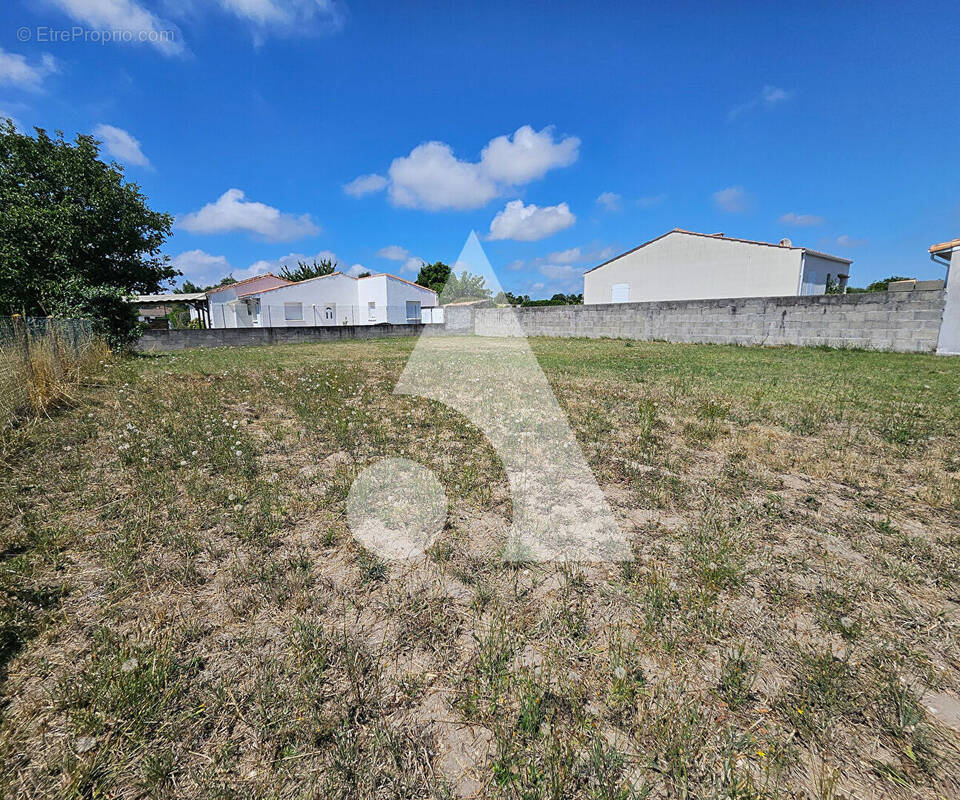 Terrain à LES MATHES