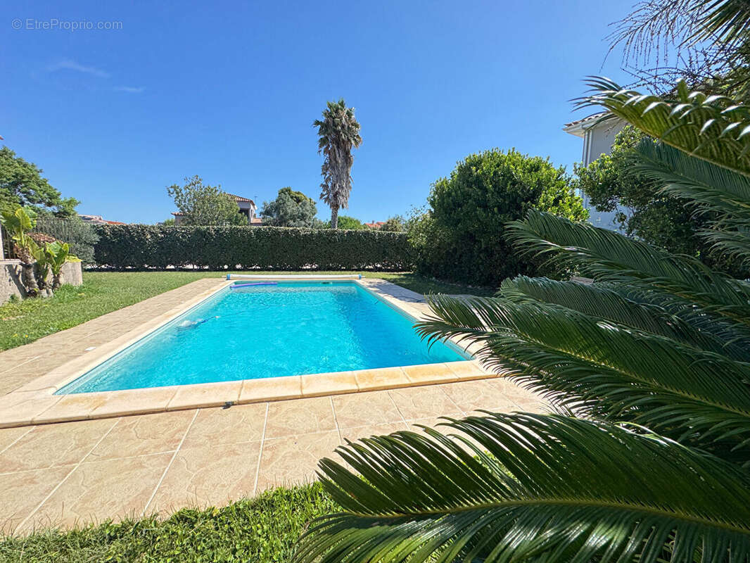 Maison à VILLELONGUE-DE-LA-SALANQUE