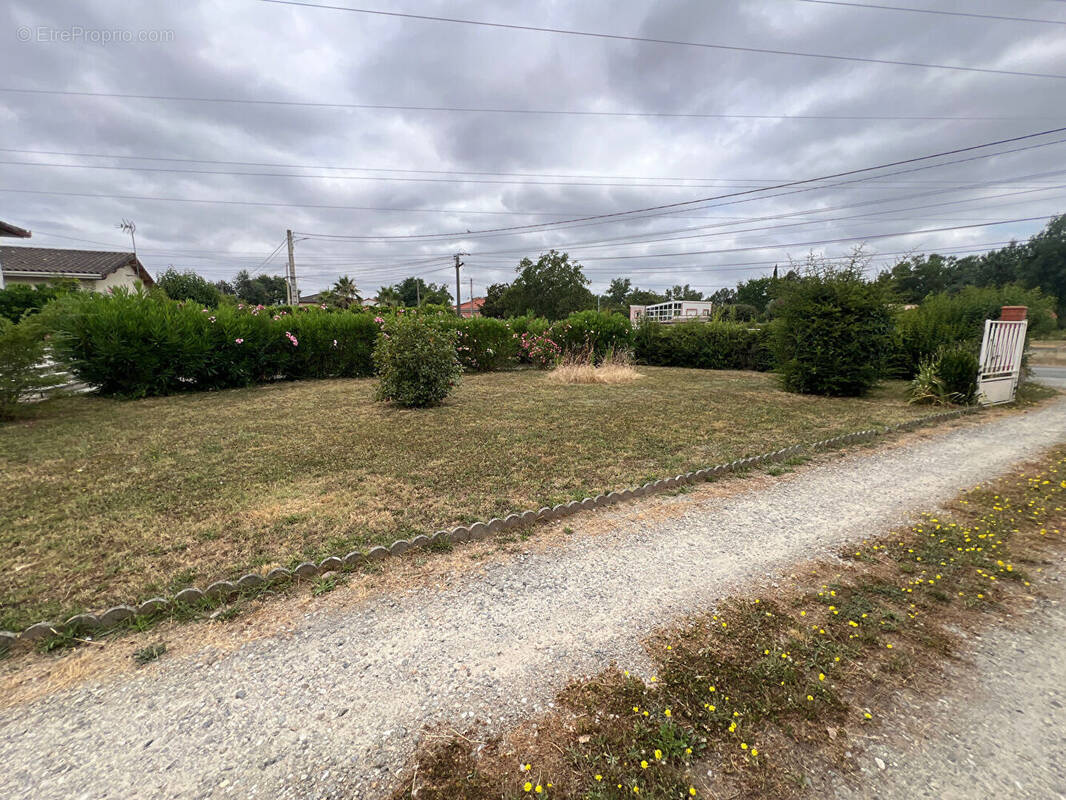 Terrain à VILLENEUVE-TOLOSANE