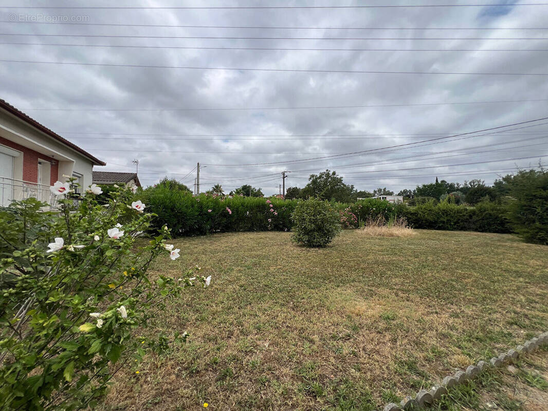 Terrain à VILLENEUVE-TOLOSANE