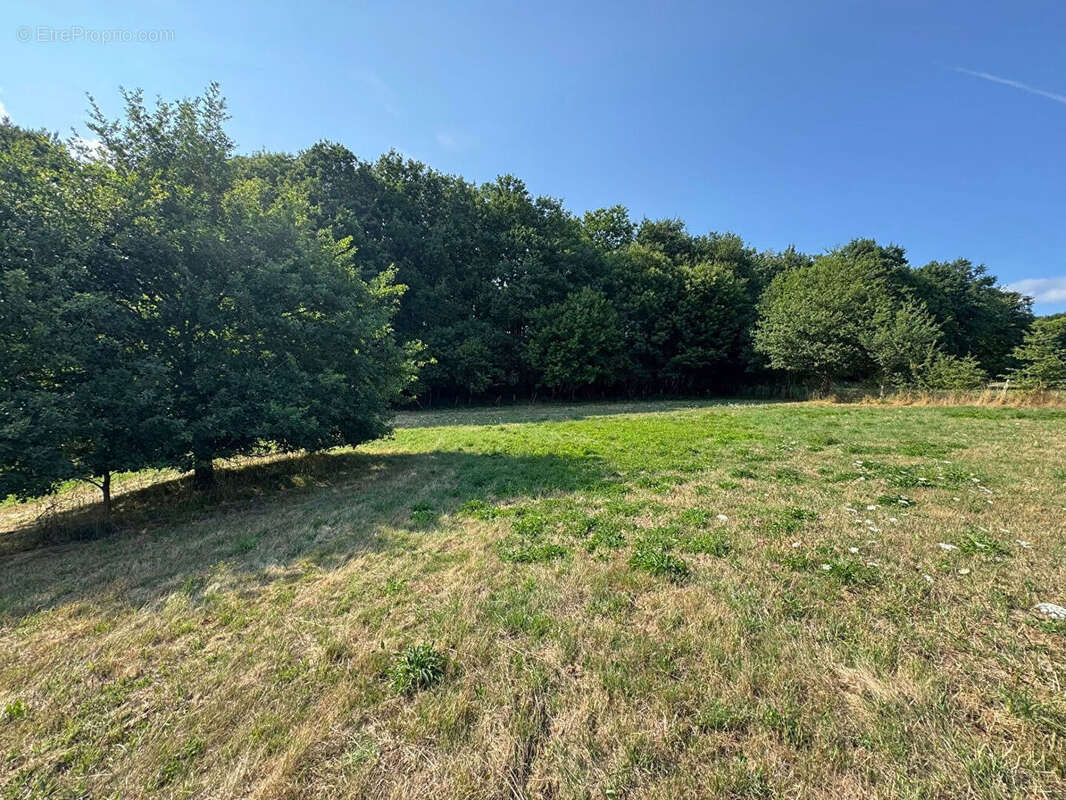 Maison à SAINT-SULPICE-LAURIERE