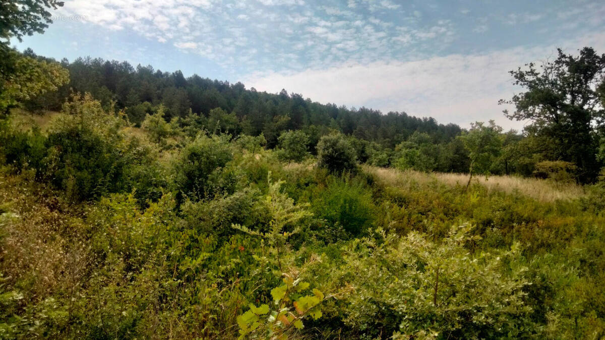 Terrain à SAINT-VINCENT-DE-BARRES