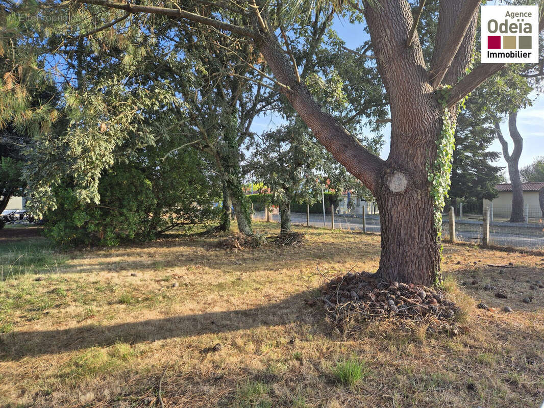 Terrain à AUDENGE