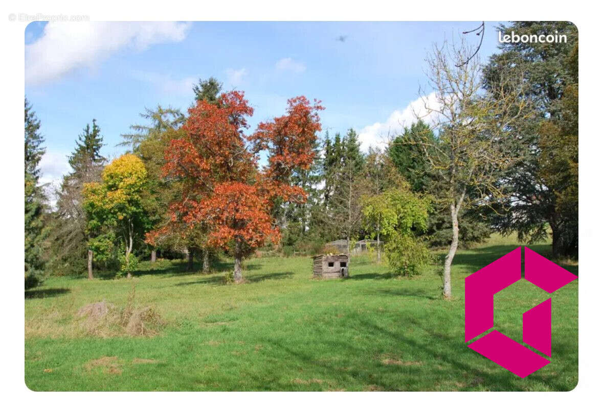 Maison à USSON-EN-FOREZ