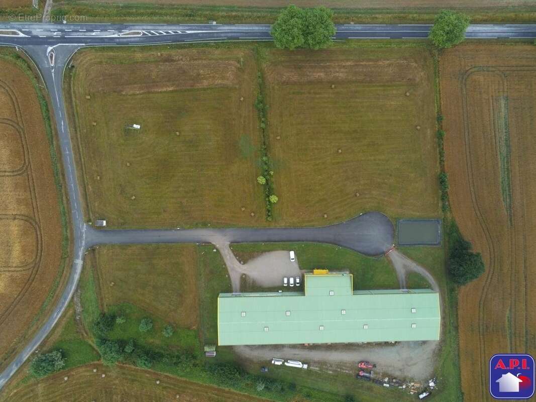 Terrain à MONTESQUIEU-VOLVESTRE