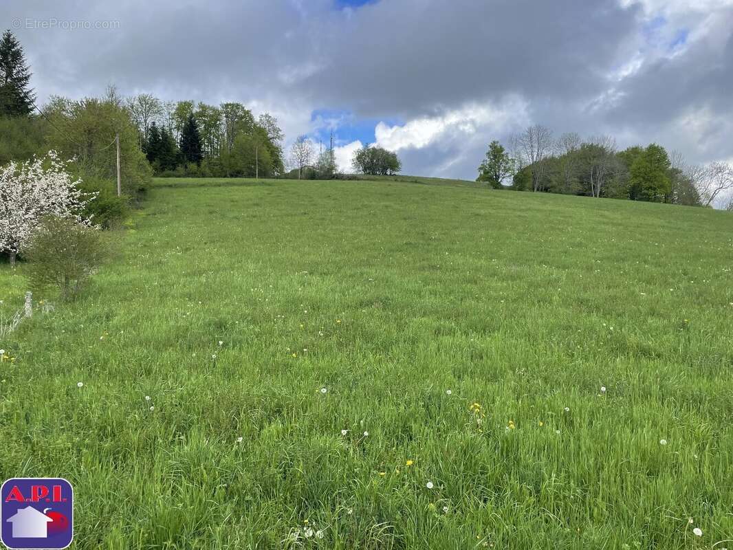 Terrain à ROQUEFEUIL