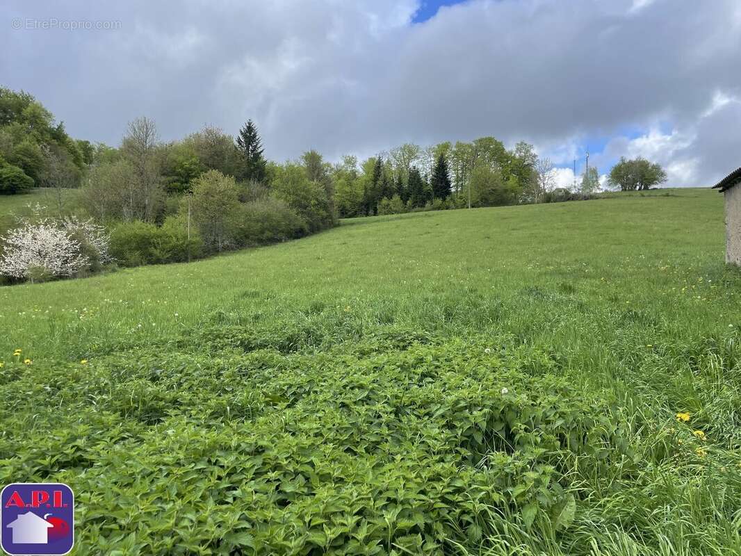 Terrain à ROQUEFEUIL