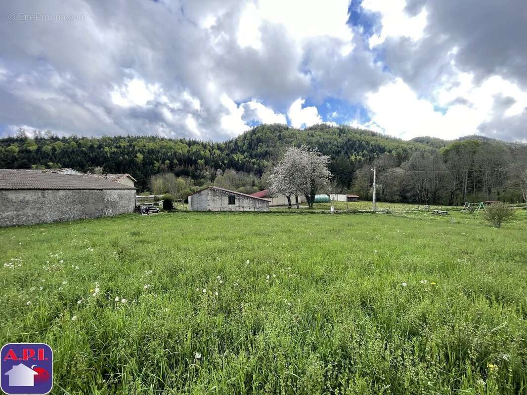 Terrain à ROQUEFEUIL