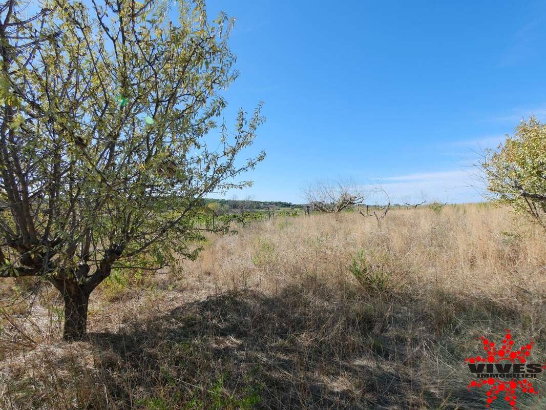 Terrain à QUARANTE