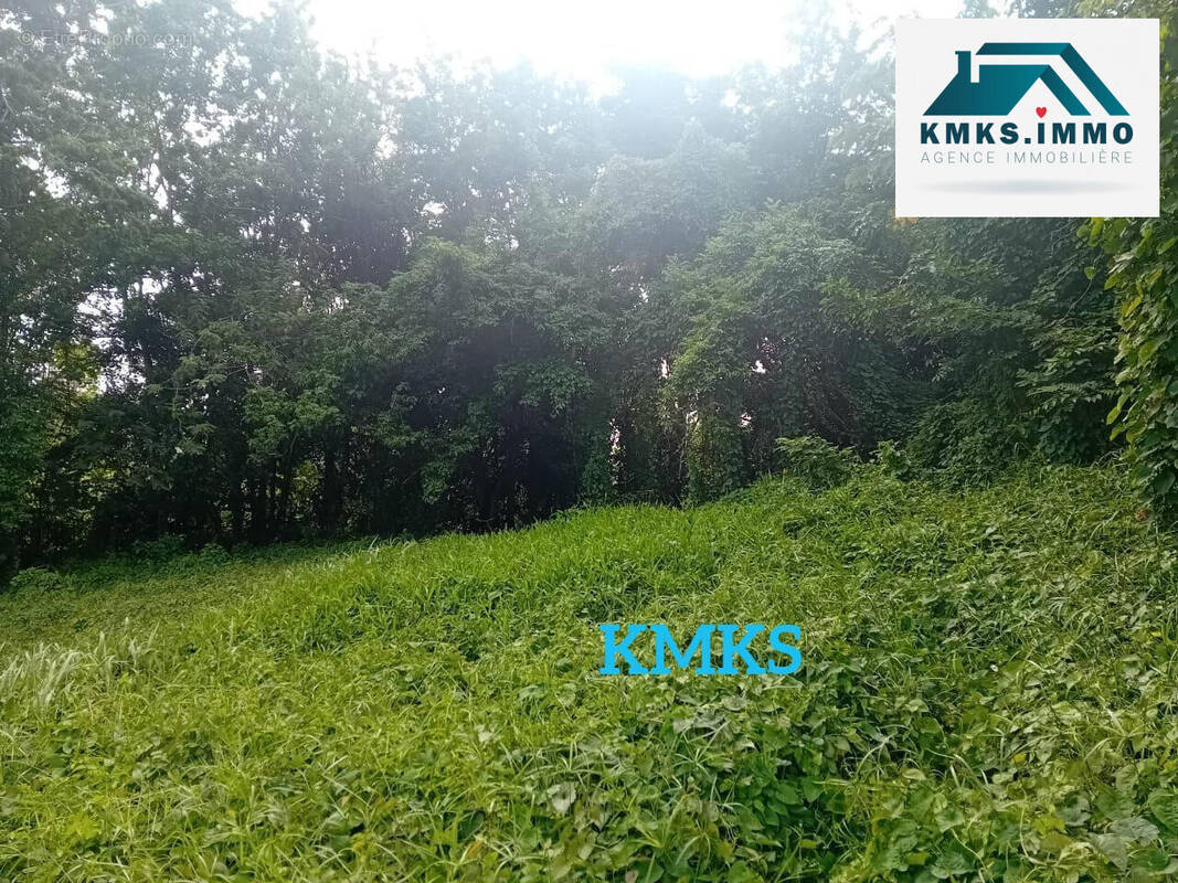 PHOTO 1 - Terrain à LE LAMENTIN