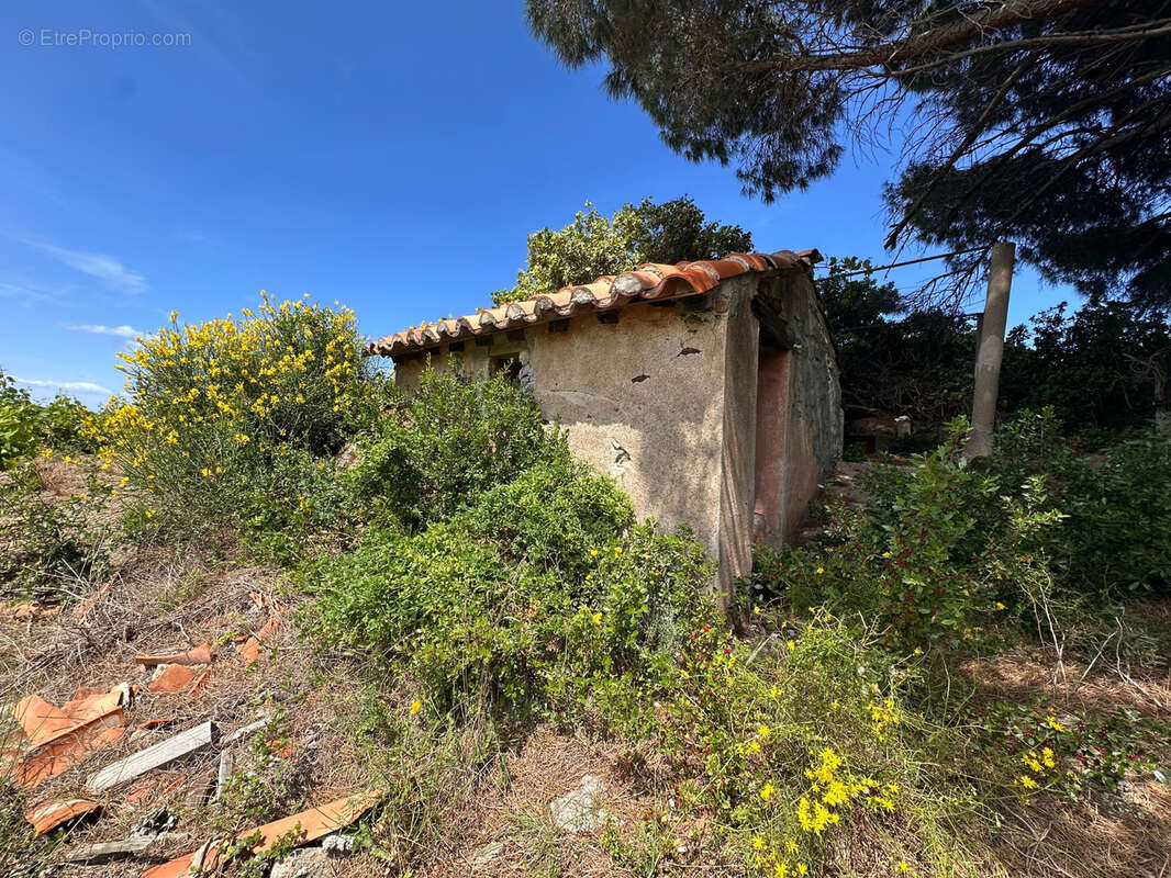 Terrain à COLLIOURE