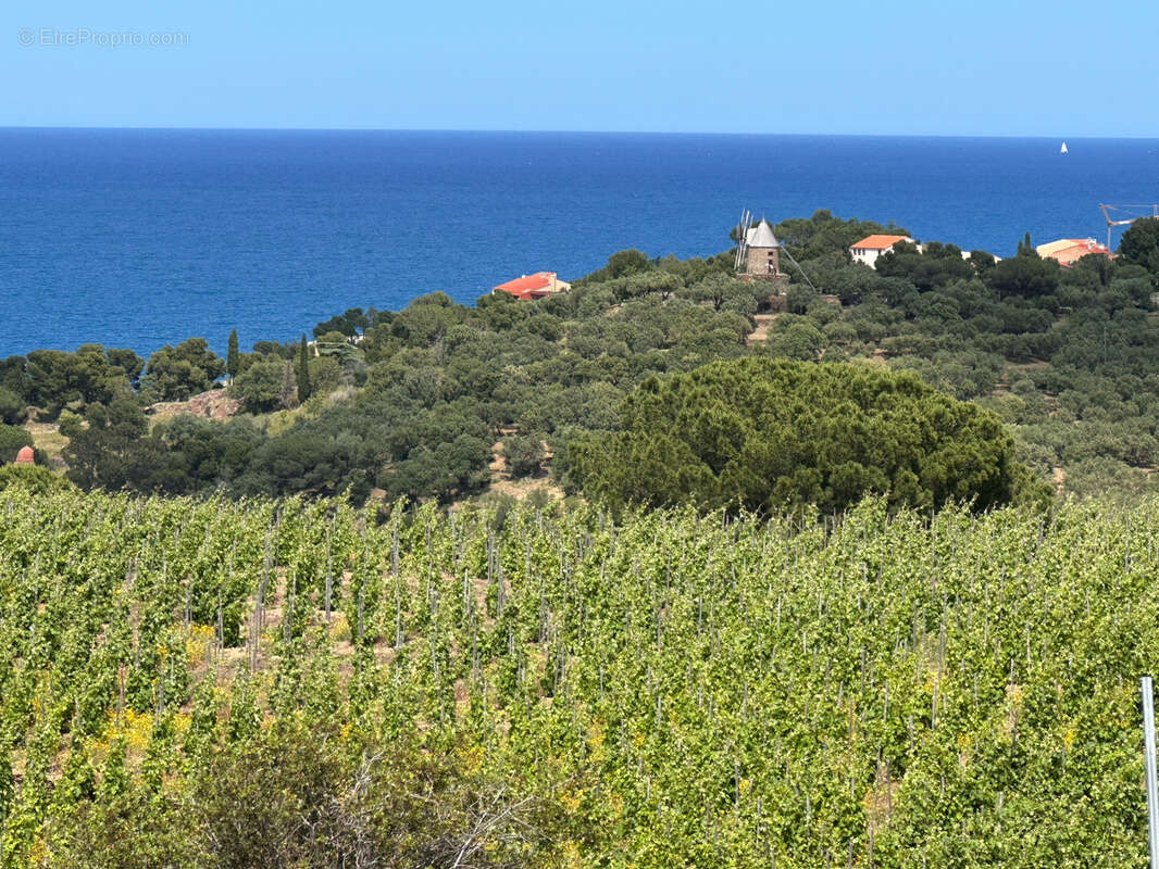 Terrain à COLLIOURE