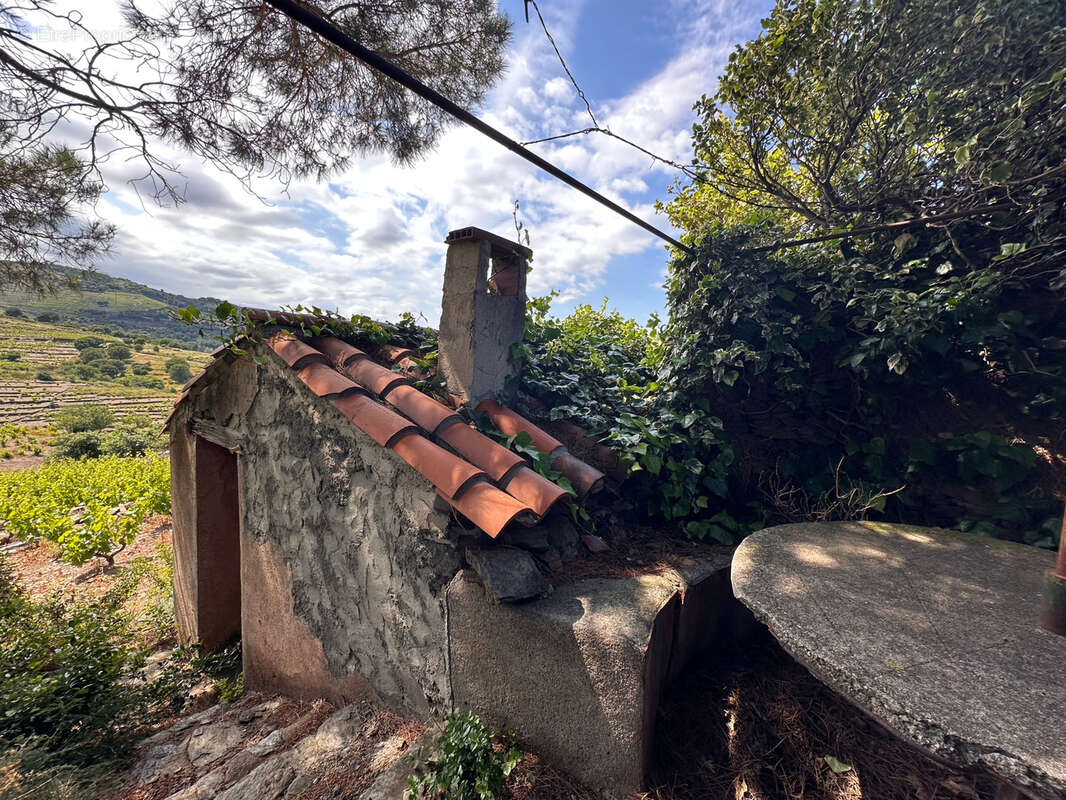 Terrain à COLLIOURE