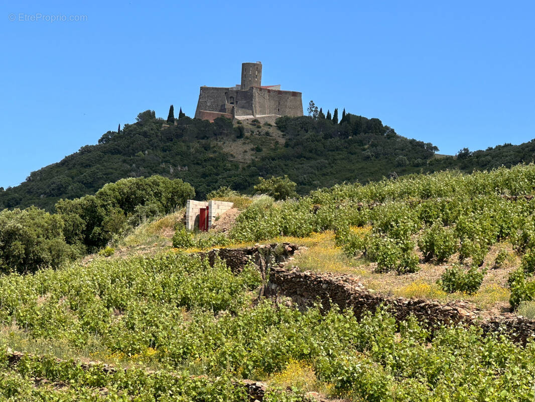 Terrain à COLLIOURE