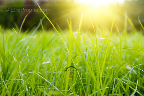Terrain à HAUCOURT-MOULAINE