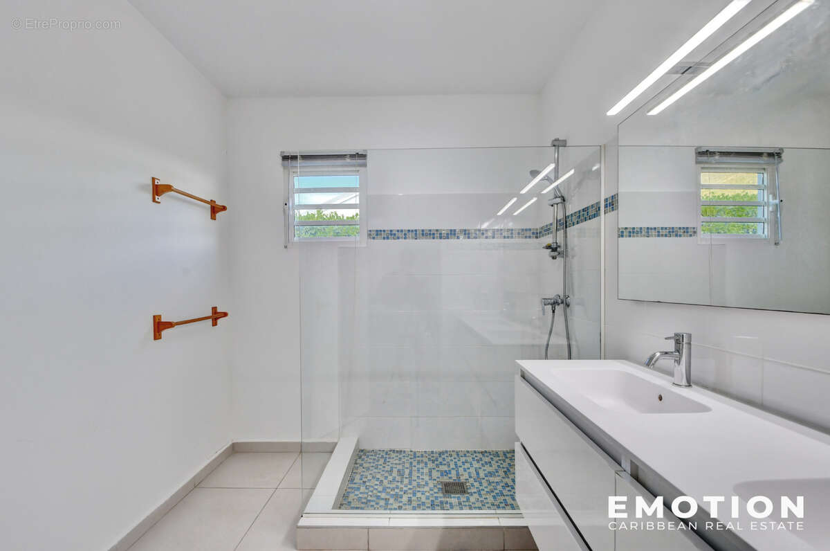 Maison à SAINT-MARTIN