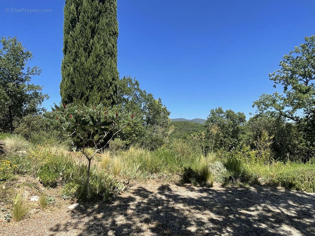 Maison à VAISON-LA-ROMAINE