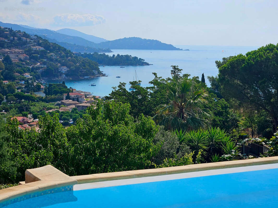 Maison à LE LAVANDOU