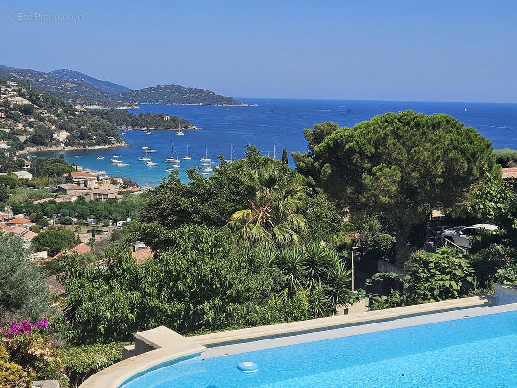 Maison à LE LAVANDOU