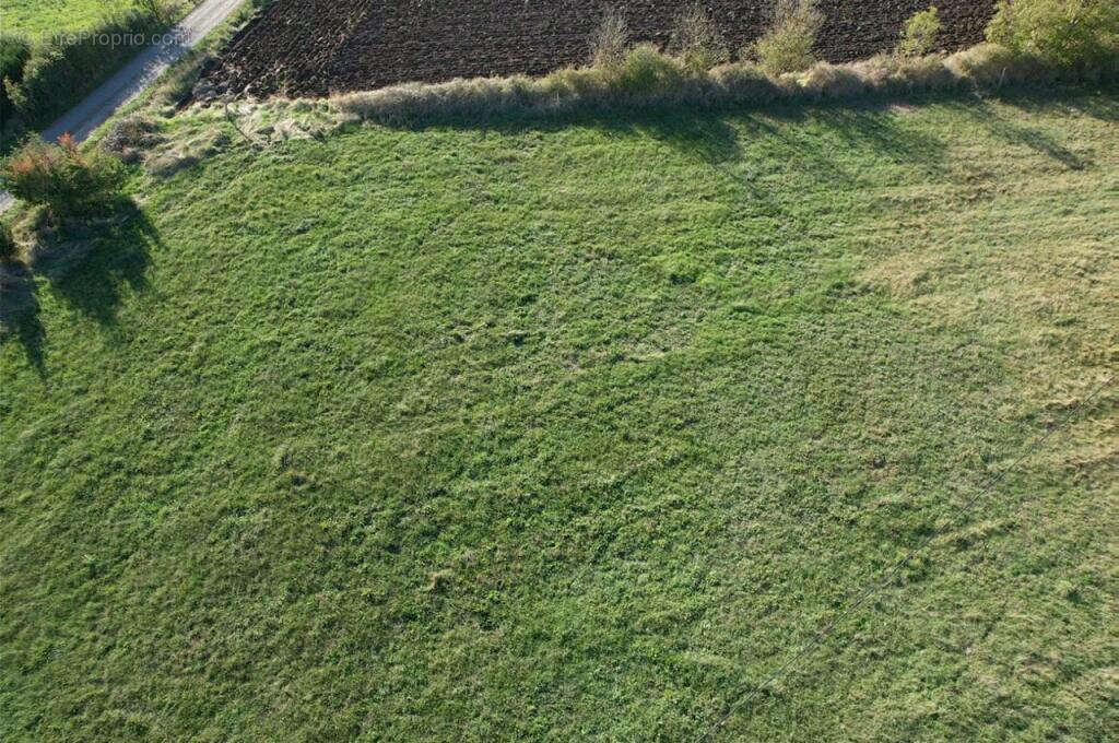 Terrain à SAINT-PAULIEN