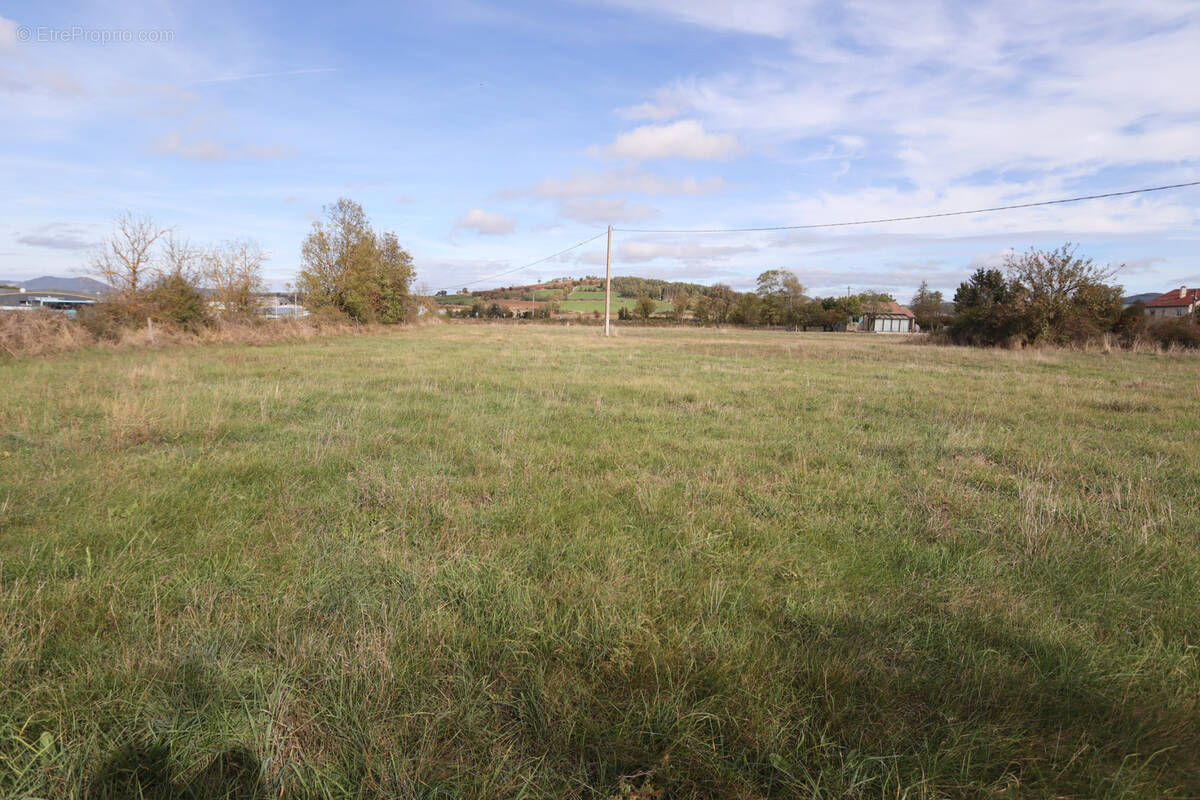Terrain à SAINT-PAULIEN