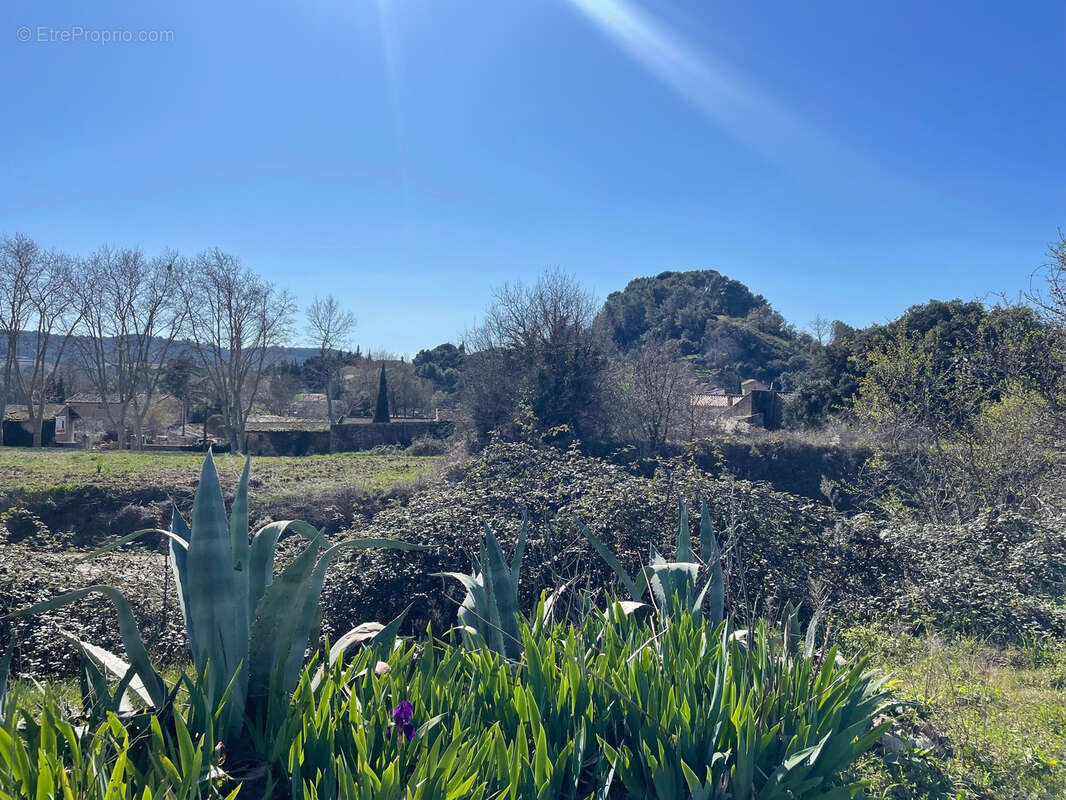 Maison à SERVIERS-ET-LABAUME