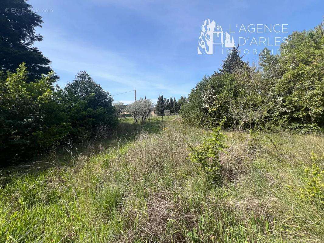 Terrain à ARLES