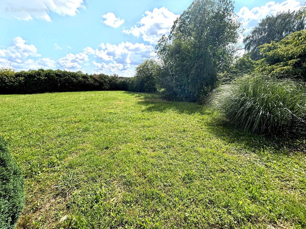 Appartement à PHALSBOURG