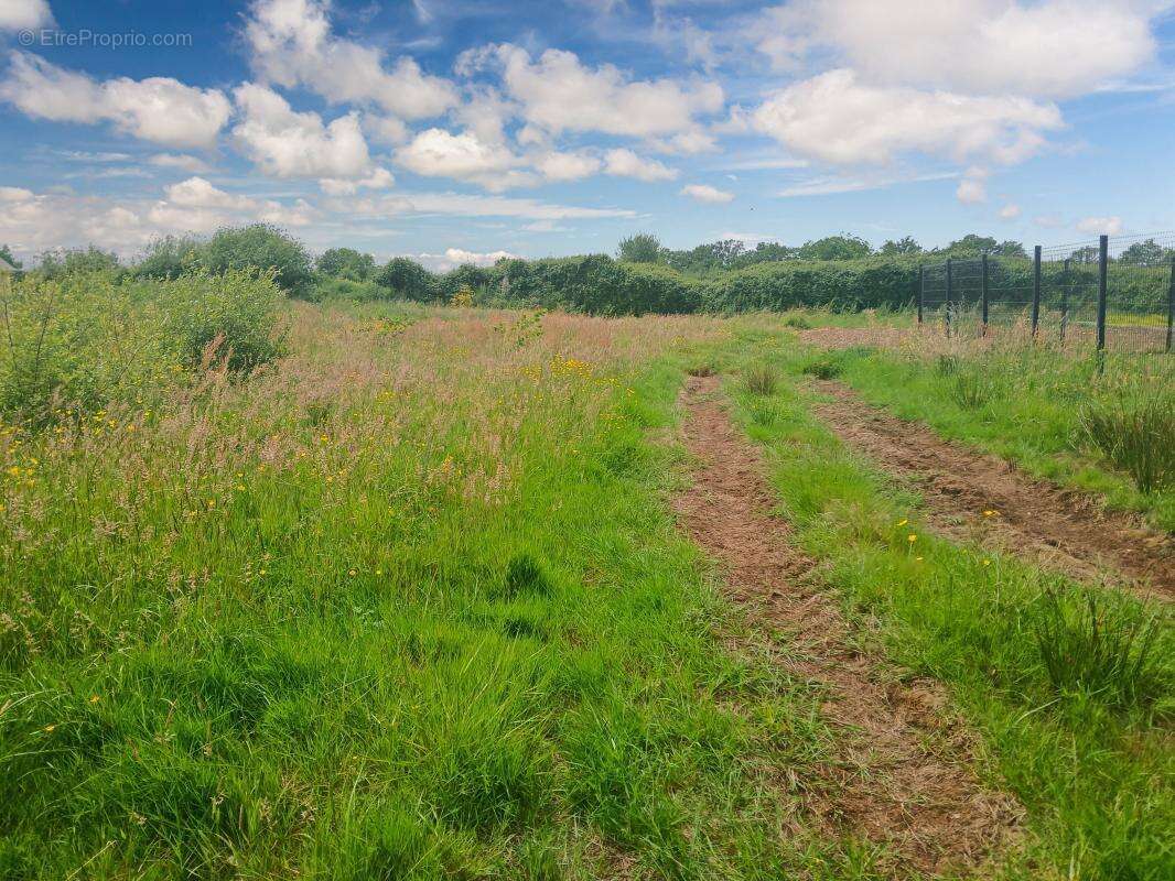 Terrain à TREFFIEUX