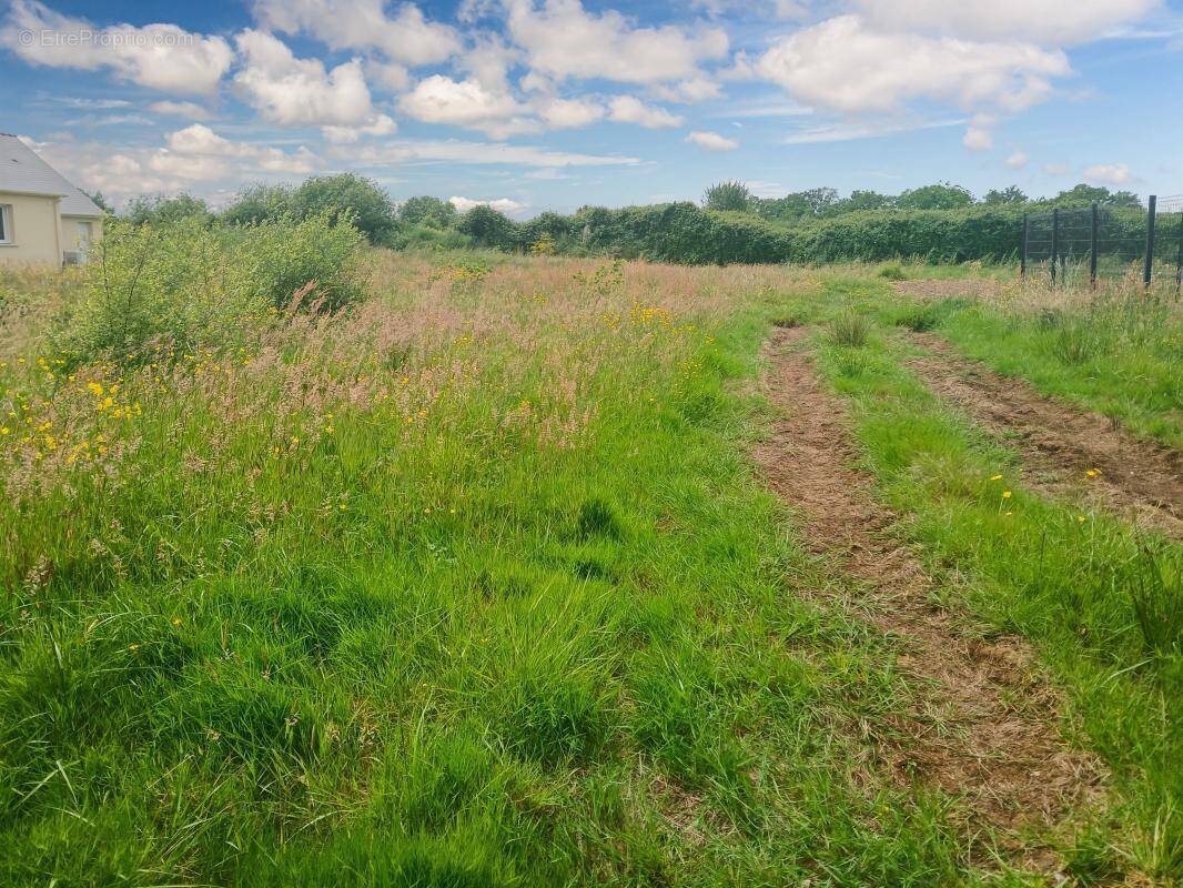 Terrain à TREFFIEUX