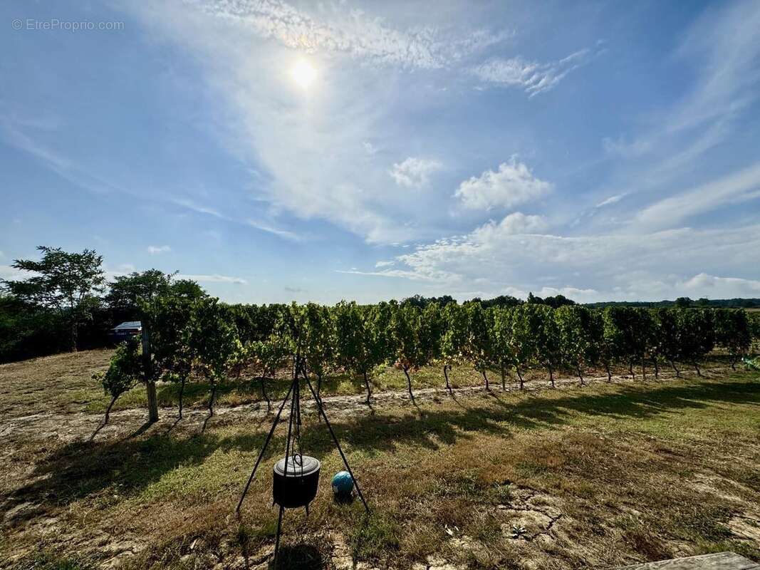 Maison à LES LEVES-ET-THOUMEYRAGUES