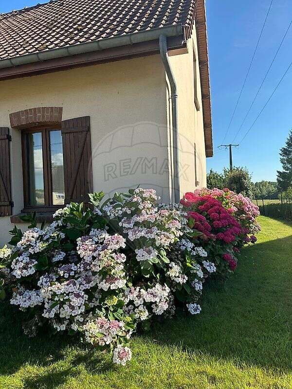 Maison à NEUVILLE-SOUS-MONTREUIL