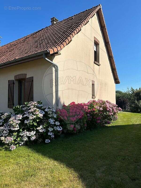 Maison à NEUVILLE-SOUS-MONTREUIL