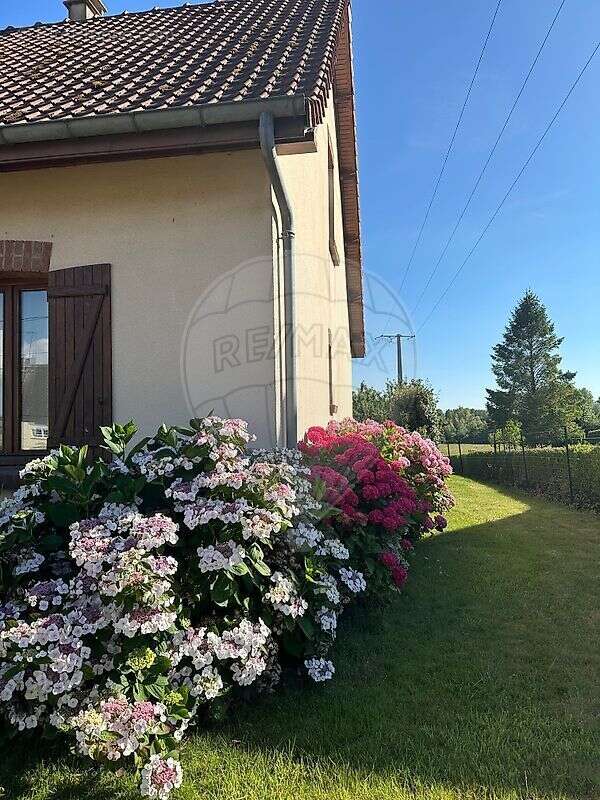 Maison à NEUVILLE-SOUS-MONTREUIL