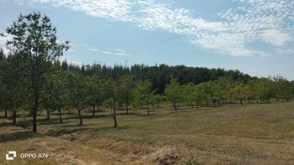 Maison à CAHUZAC-SUR-VERE