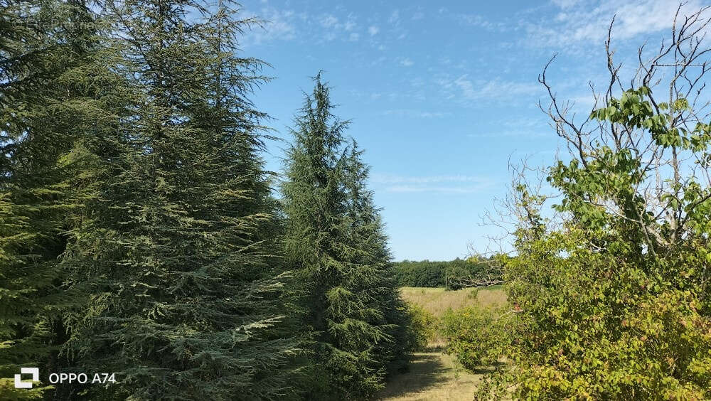 Maison à CAHUZAC-SUR-VERE