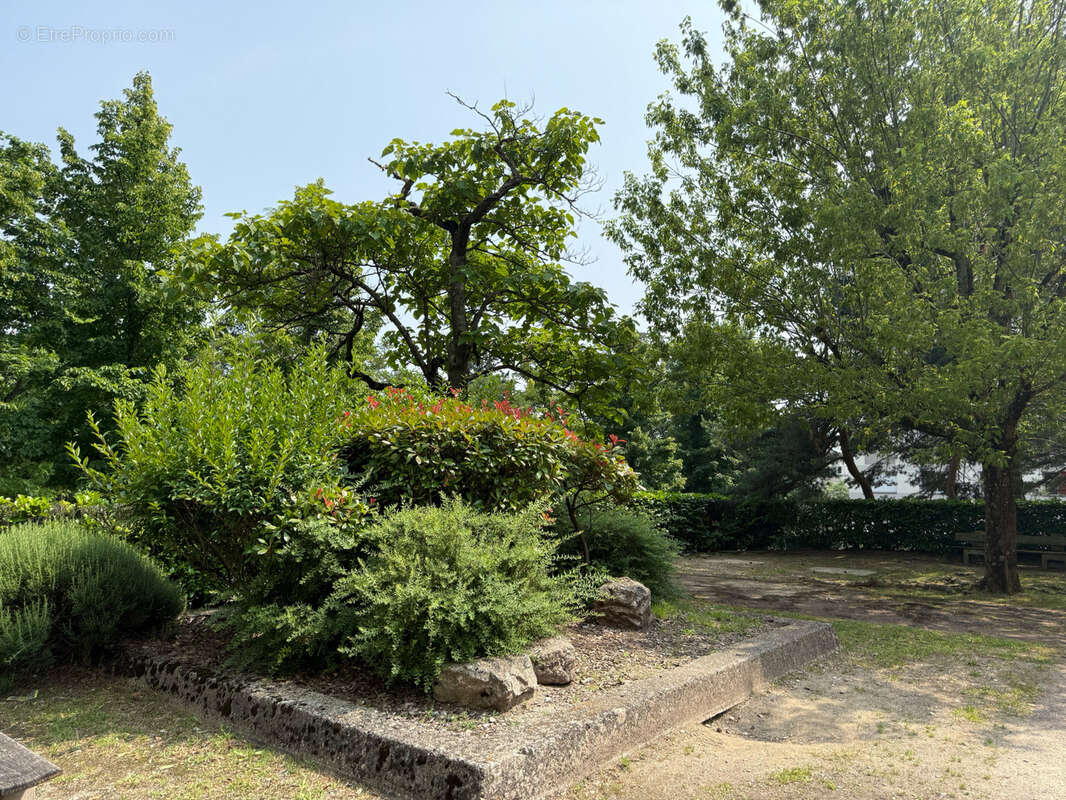 Appartement à CALUIRE-ET-CUIRE