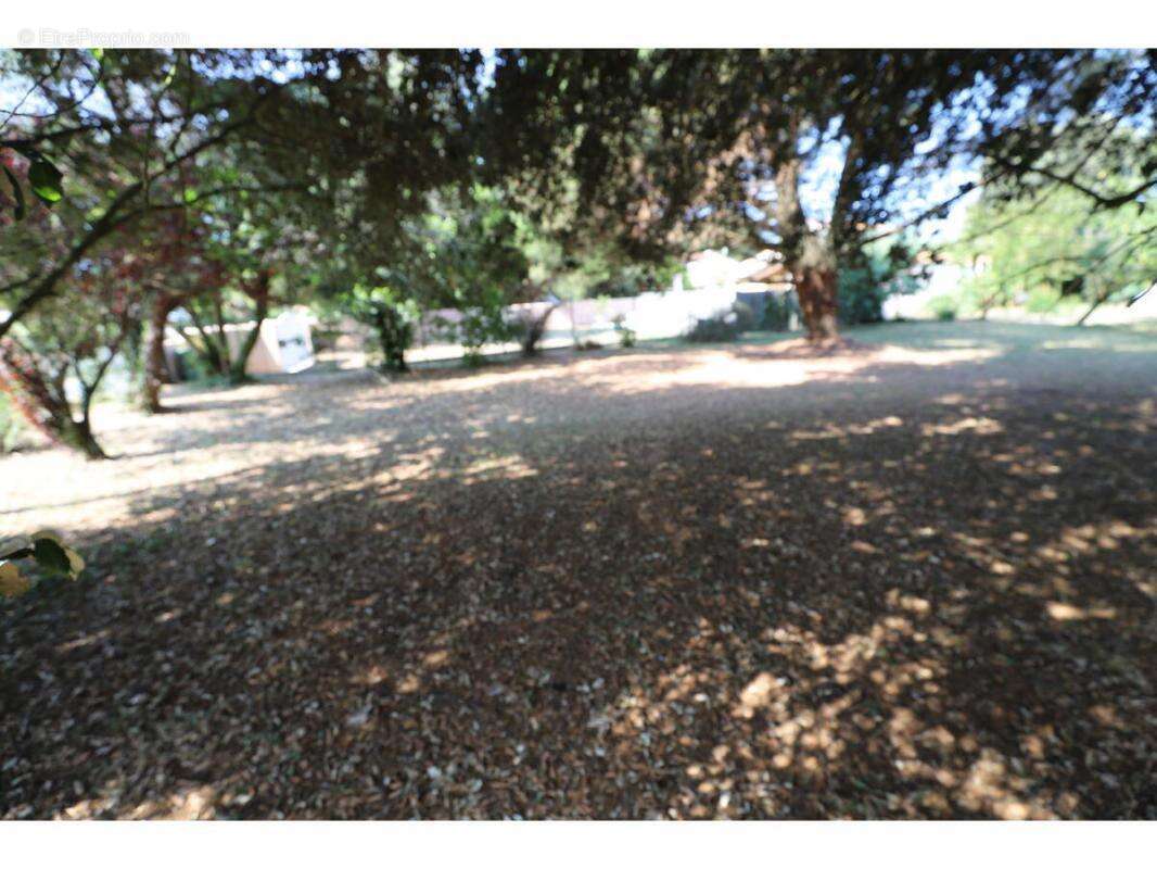 Terrain à SAINT-GEORGES-D&#039;OLERON