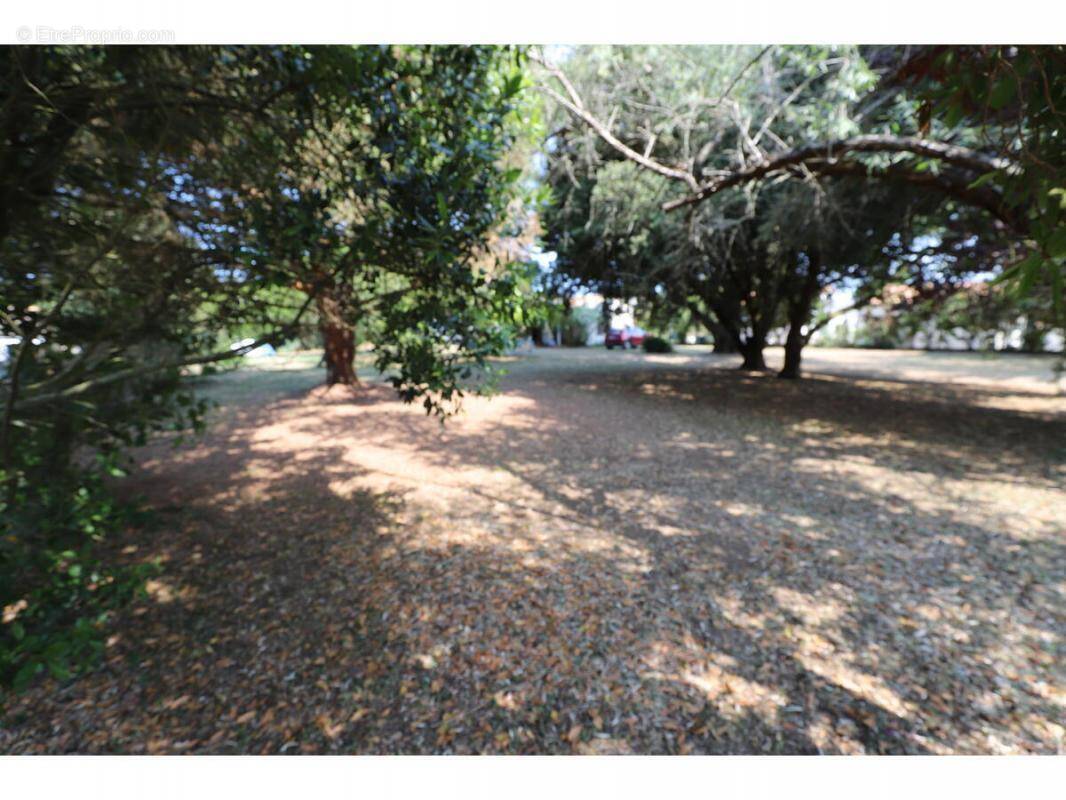 Terrain à SAINT-GEORGES-D&#039;OLERON