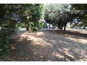 Terrain à SAINT-GEORGES-D&#039;OLERON