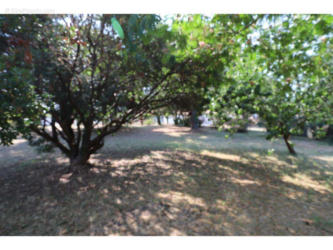 Terrain à SAINT-GEORGES-D&#039;OLERON