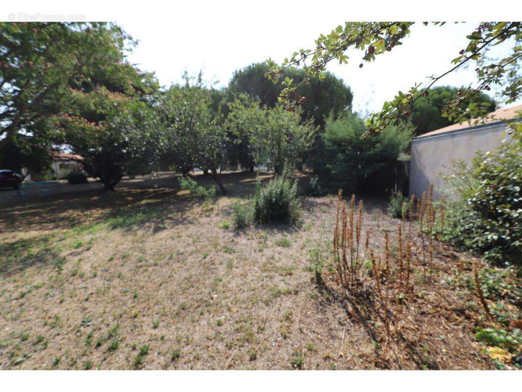 Terrain à SAINT-GEORGES-D&#039;OLERON