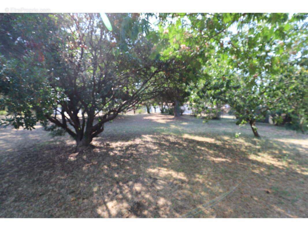 Terrain à SAINT-GEORGES-D&#039;OLERON