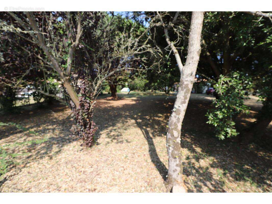 Terrain à SAINT-GEORGES-D&#039;OLERON