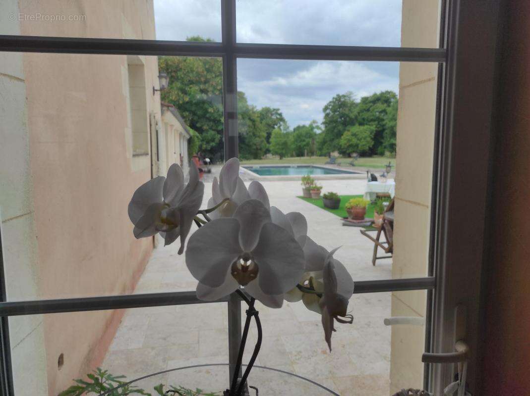 Maison à SAINT-JULIEN-DE-L&#039;ESCAP