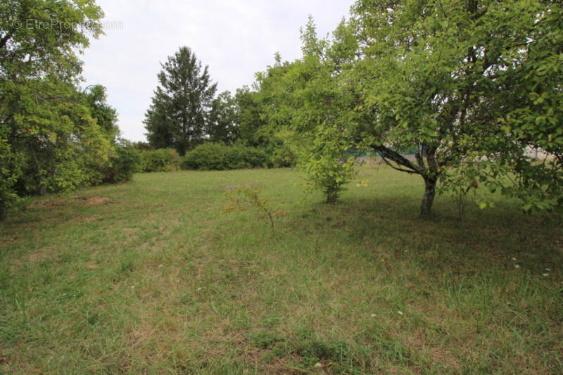 Terrain à CHATELLERAULT