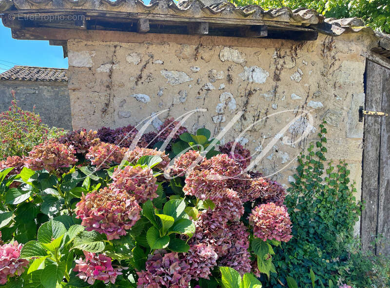 Maison à BONNEVILLE-ET-SAINT-AVIT-DE-FUMADIERES